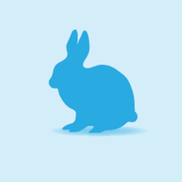 Illustration of a Rabbit